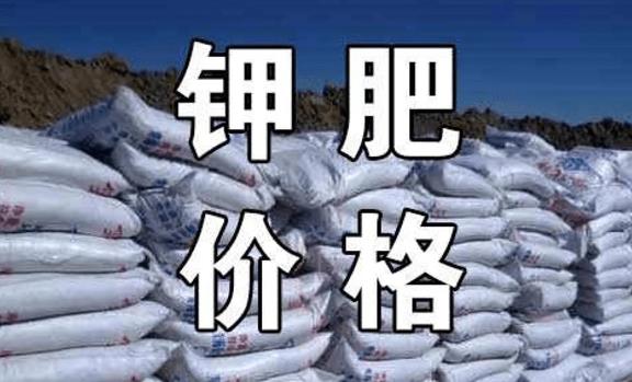 磷肥价格持续走高 磷肥价格概念股票有哪些?