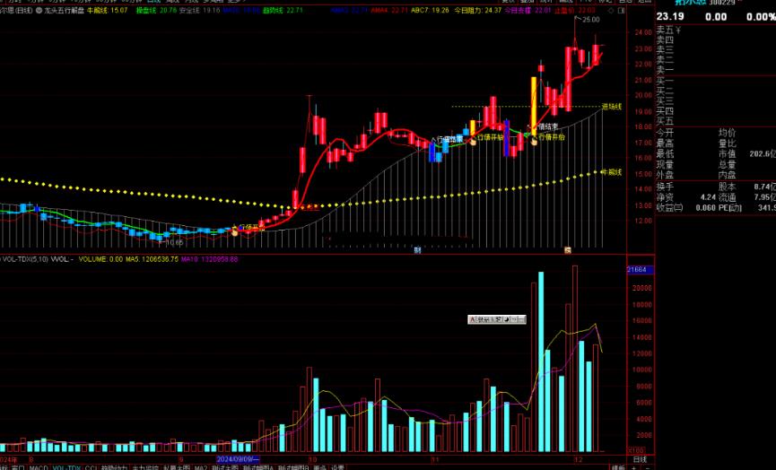 通达信龙头五行解盘主图指标公式源码主图